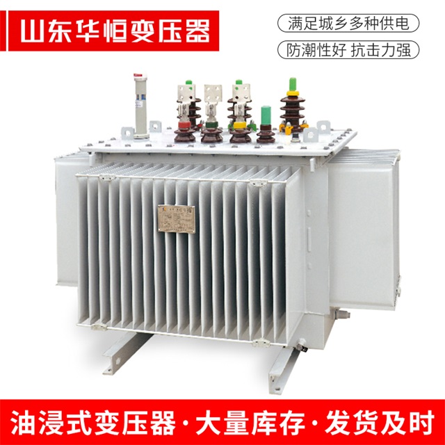 S13-10000/35任丘任丘任丘电力变压器