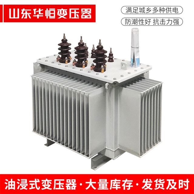 S13-10000/35任丘任丘任丘油浸式变压器厂家